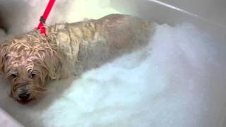 Nice Spa Day