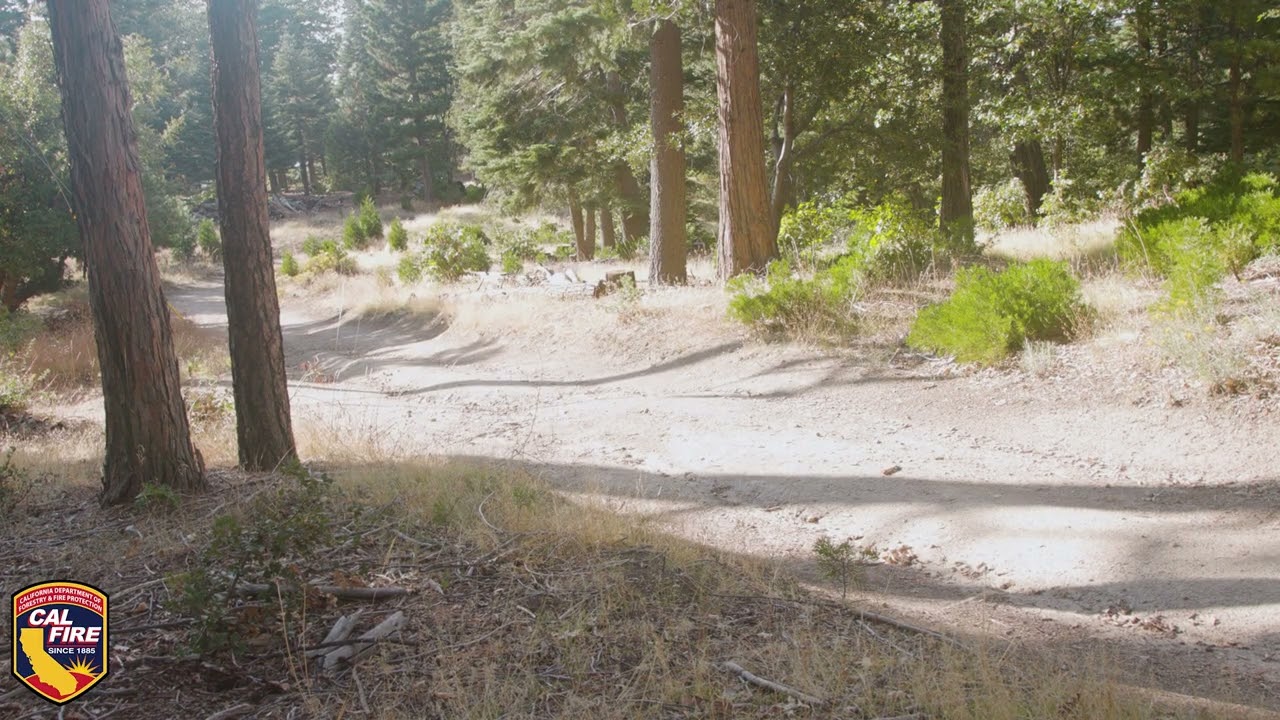 Sawmill Demonstration State Forest