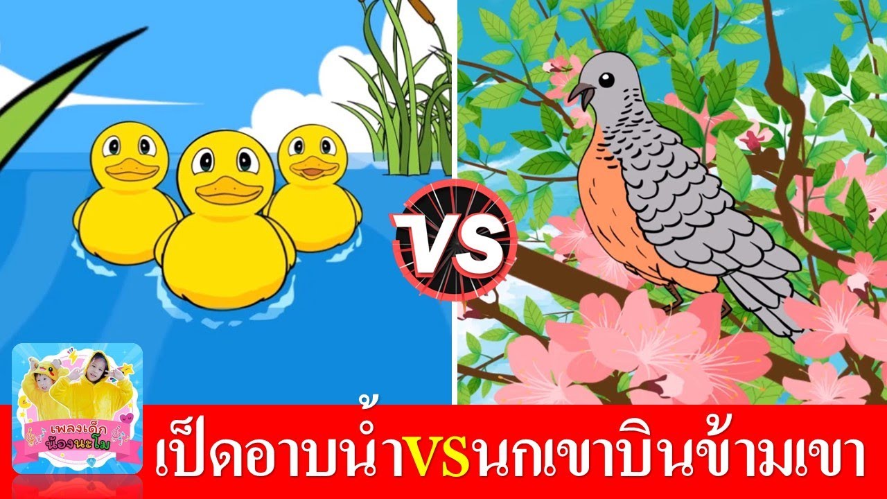 เพลงเป็ดอาบน้ำ vs นกเขาบินข้ามเขา | เพลงเด็กในตำนาน สุดฮิต | เรียนรู้เรื่องสัตว์ เป็ด และ นก