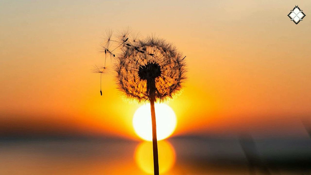 Ver Fluid Form, Dan Guidance & Professor Funk - Floating With Me no YouTube Ver Fluid Form, Dan Guidance & Professor Funk - Floating With Me no YouTube