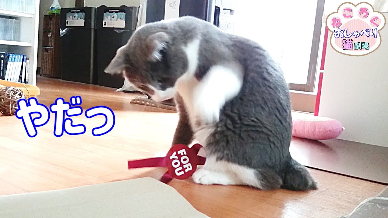ねころく様。専用ページ。 maxresdefault.jpg