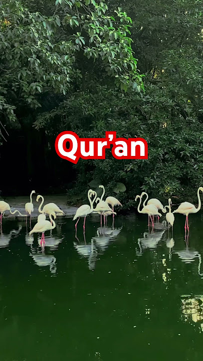 Surah Ikhlas