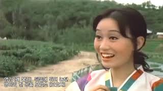 大人の韓国歌謡”トロットについて知ろう！(4) 韓国中をとりこにした