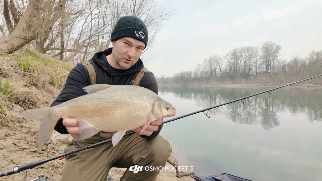 Feeder ribolov Sava Amir Taletovic pecanje mrene i deverike