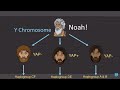 Shem ham  japheth haplogroups