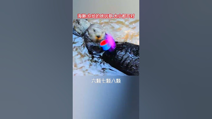海獭：你看你给的啥玩意？你看看！这我怎么装！不惜的说你