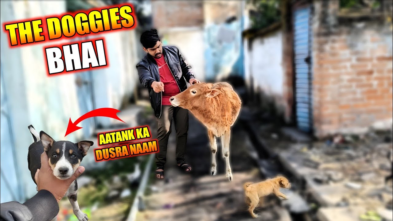 Ine Gadhon Ne Aatank Macha Rakha Hai 😡 Aatank ka Dusra Naam Doggies Bhai - Aniket Vst Vlogs