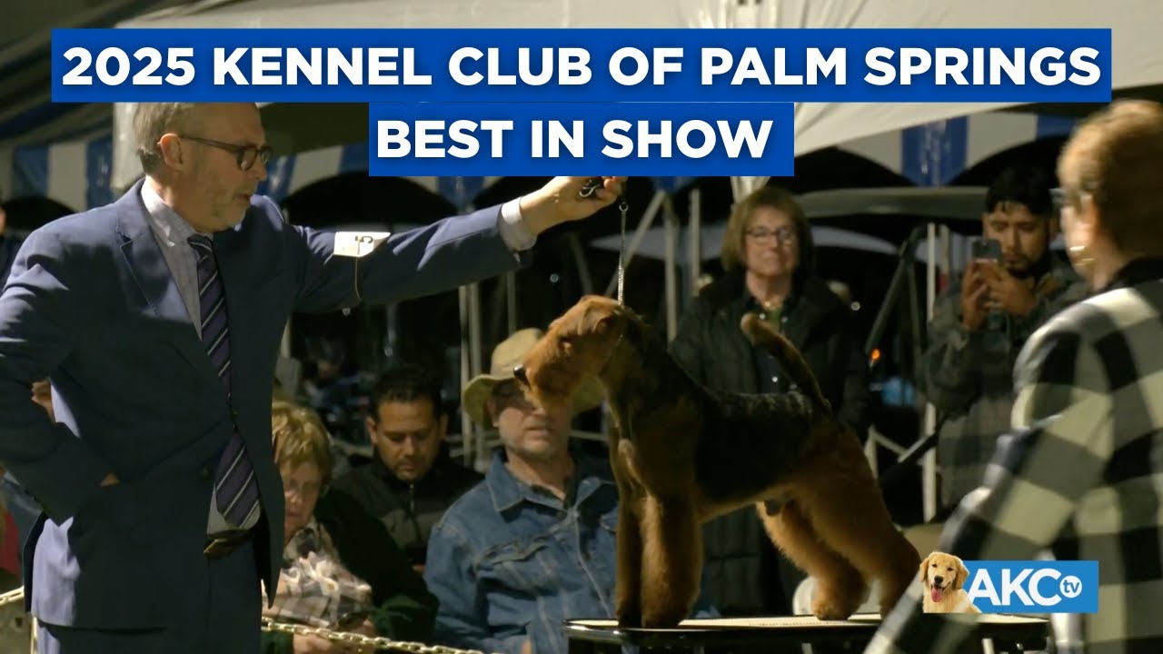 2025 Kennel Club of Palm Springs Dog Show Best in Show