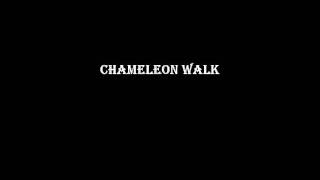 Chameleon Walk - Niels van Doormalen