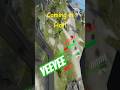 Vrhillbilly Coming in Hot: Forefront Vr Gaming #shorts #vrhillbilly #vrgame #vrgaming #oculusgaming
