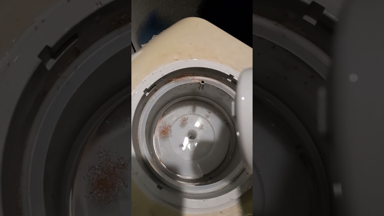 Dispenser Nestle water we have been taking 🤔