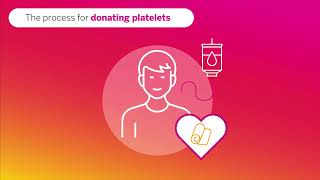 Platelet Donation Basics | Versiti Blood Centers