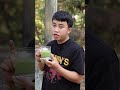Đậu xanh rau má
