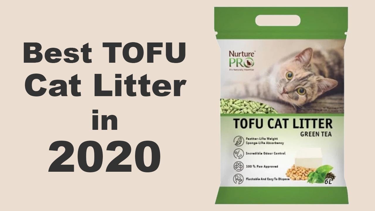 Buy Nurture Pro Tofu Cat Litter 6l Best Natural Tofu Cat Litter With Odor Control Youtube