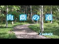 山蔭の道(原歌 若原一郎) 雑想カラオケOj