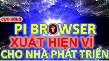 Cực nóng Pi Browser xuất hiện ví cho nhà phát triển #pinetwork #pi #picoin #pibrowser