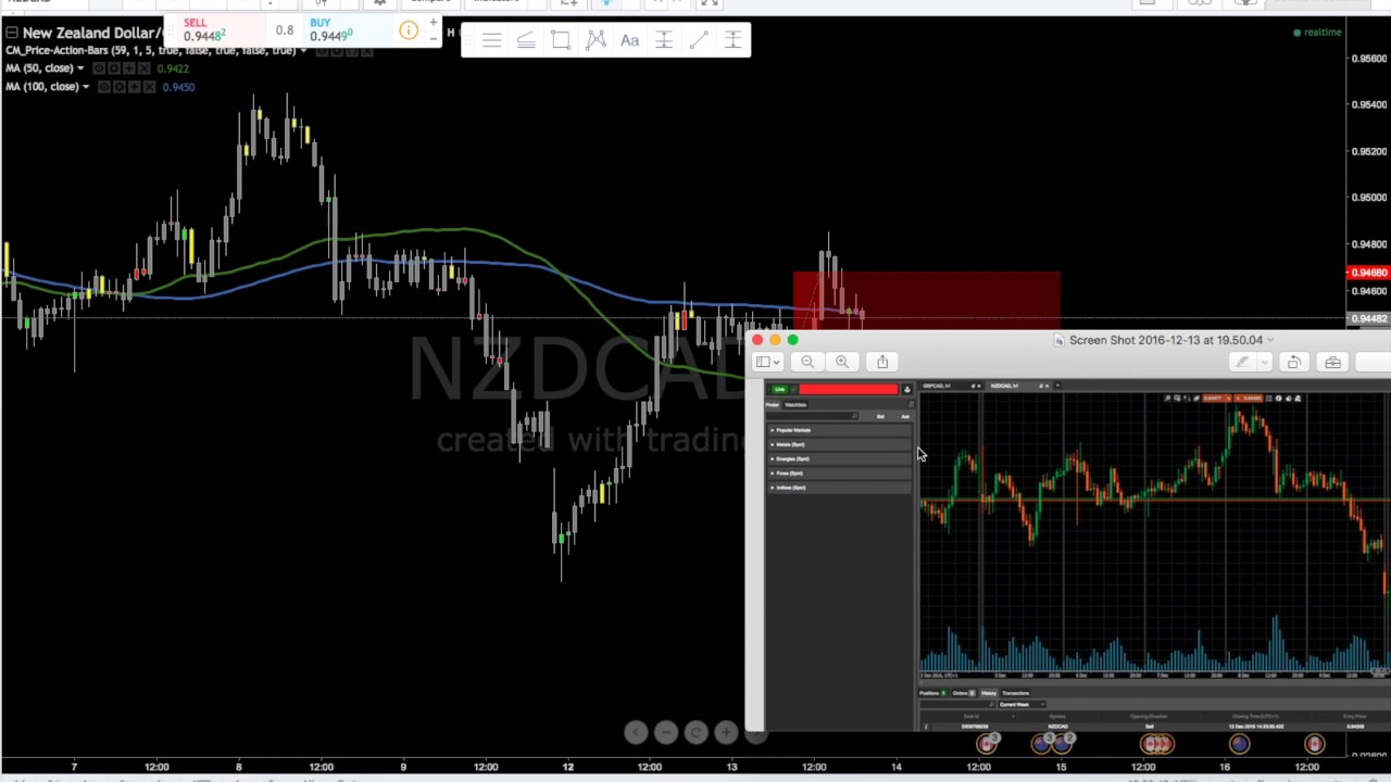 Price action trading forex youtube