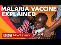 Malaria Vaccine: Three things to know - BBC What&#39;s New #shorts