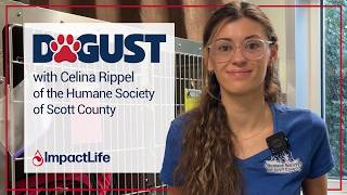 DOGUST with Celina Rippel of the Humane Society of Scott County