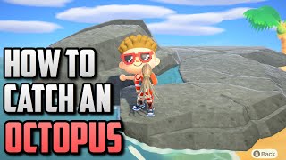 HOW TO CATCH AN OCTOPUS - Animal Crossing New Horizons [Sea Creatures]