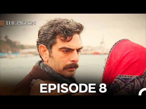 The Pigeon Episode 8 (English Subtitles)