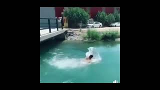 Çek Kardeşim Benim