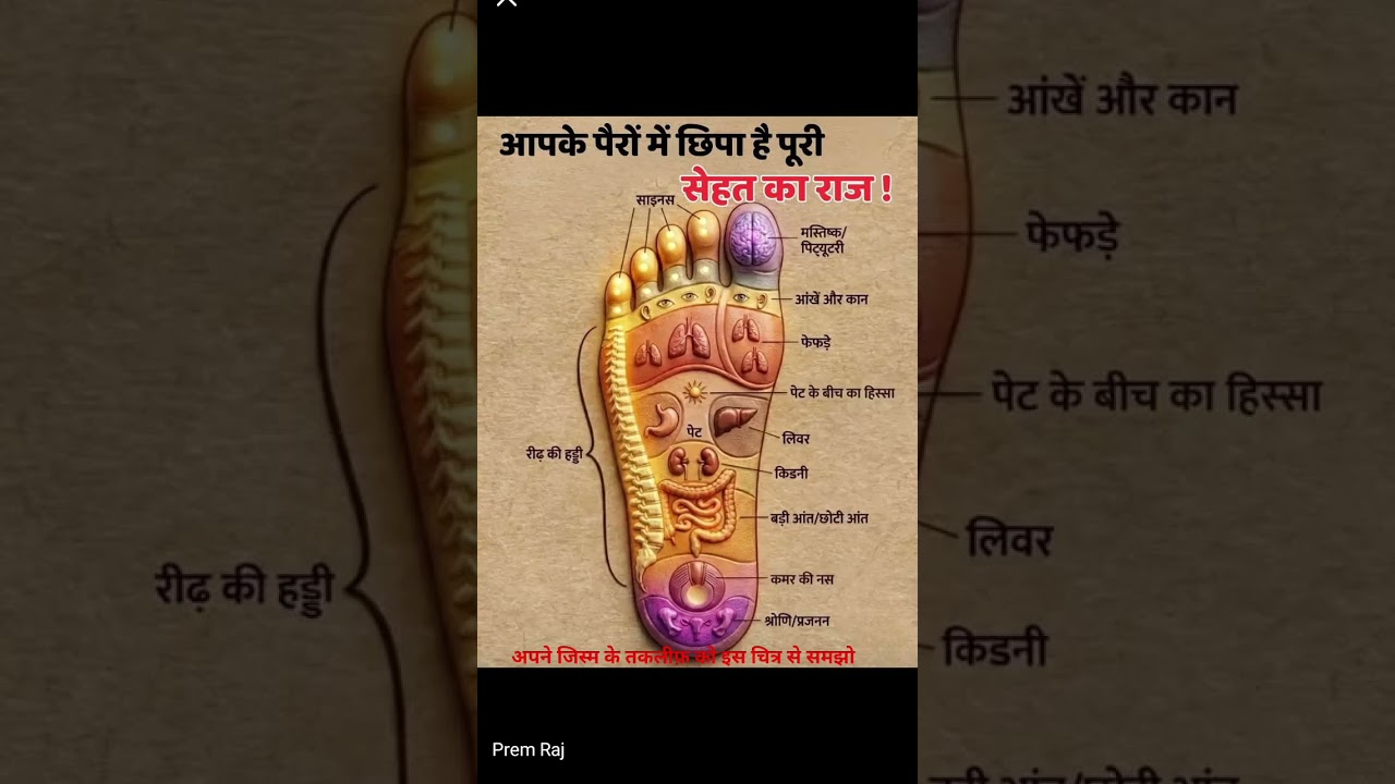 अपने जिस्म की तकलीफ़ को इस चित्र से समझो। #directoramarbetaab