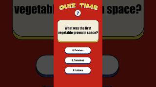 Curiosity Unleashed: 100 Mind-Bending Trivia Tidbits