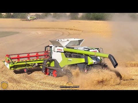 CLAAS LEXION 8900 Mähdrescher Getreide Einsatz insg 24,60m Arbeitsbreite ist die Fläche in 2 Std ab!