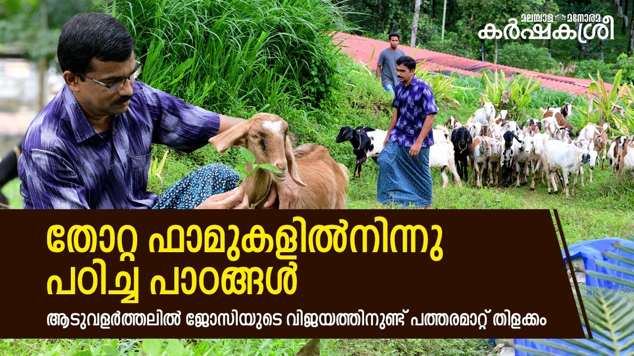 തോറ്റ ഫാമുകളിൽനിന്നു പഠിച്ച പാഠങ്ങൾ ‌| Profitable Goat Farming Business Ideas | Goat Farming