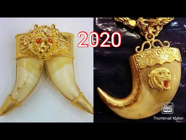 शेर के नाखून Ka Pendant|Rs Jewellery Agra|#puligoru lockets || latest  stylish tiger nail lockets - YouTube