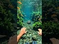 POV Dive Into Crystal Clear Water &amp; Discover a Totoise #shorts