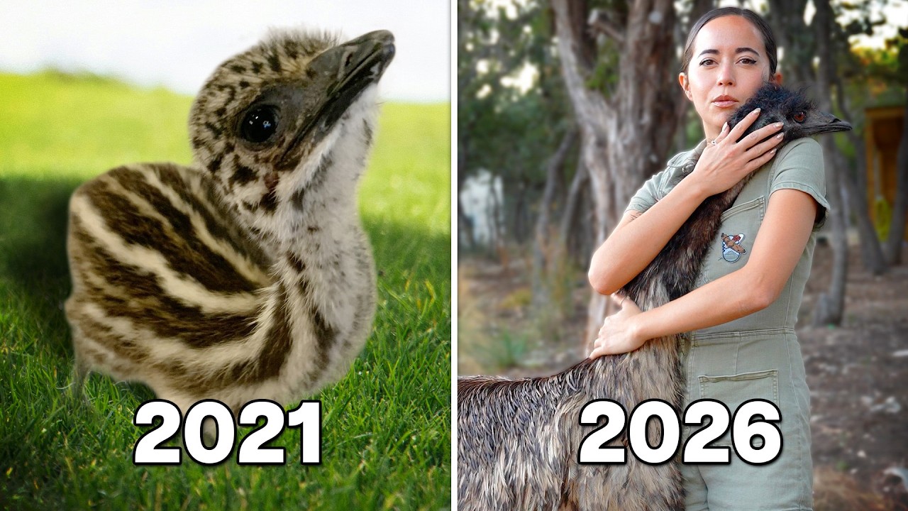 Celebrating Our First Ambassador’s Hatchday