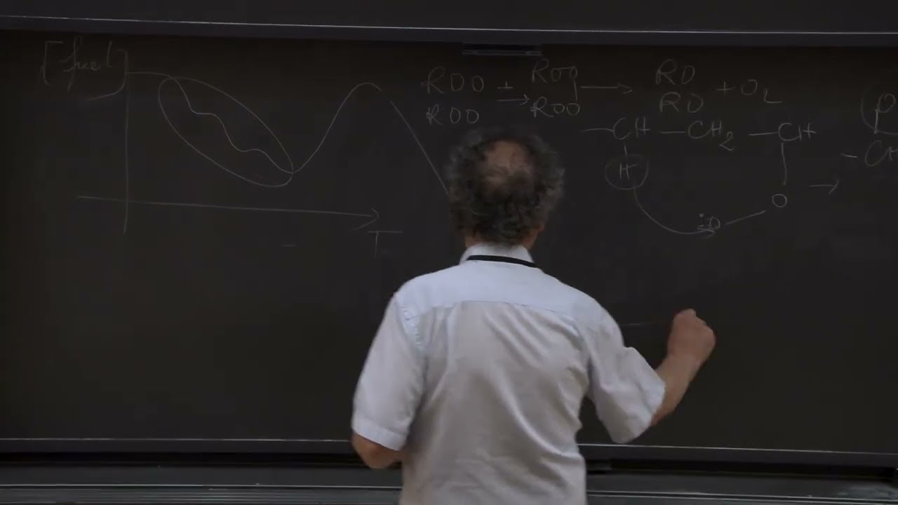 Combustion Chemistry, Prof. Philippe Dagaut, Day 3 Part 2