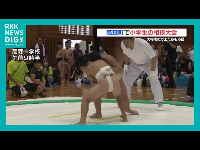 It's bigger than it looks on TV! Youth Sumo Tournament: Kensho and