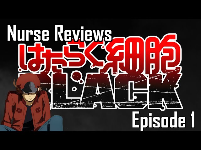 Cells at Work! CODE BLACK - Episode 1 - Anime Feminist