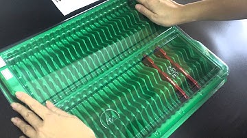 memory tray container ddr packaging 2034 (www.memorypack.com.tw)