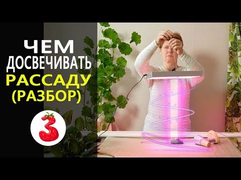 ПОДСВЕТКА РАССАДЫ лучшие из вариантов 0+