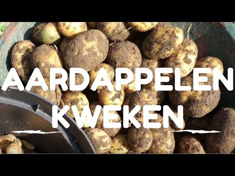 Video: Aardappels Planten Volgens De Ouderwetse Methode