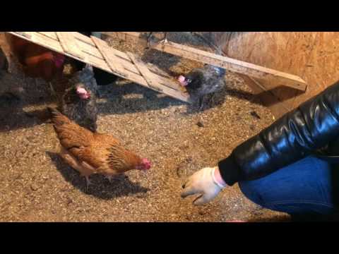 НЕСМЕНЯЕМАЯ подстилка. ЧАСТЬ