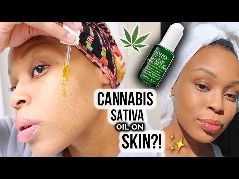 나는 일주일 동안 내 피부에 Kiehl의 CANNABIS SATIVA 종자 오일을 시험해 보았습니다. 이것이 일어난 일입니다!