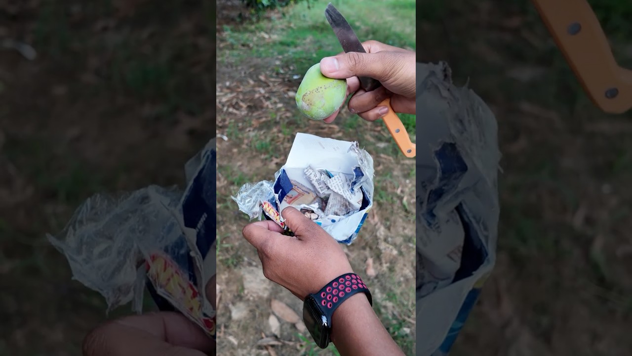 Mango Experiment Part-2 #experiment #shorts
