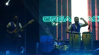 Organización X - Chamullero [Última Fonda Permanente, Hipódromo Chile, 20/09/2019]