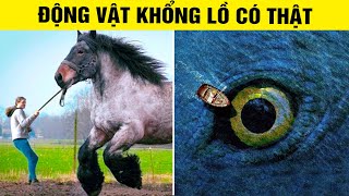 10 Loài Động Vật Khổng Lồ Ấn Tượng Như Chuyện Cổ Tích Nhưng Có Thật Ngoài Đời | Thế Giới 360