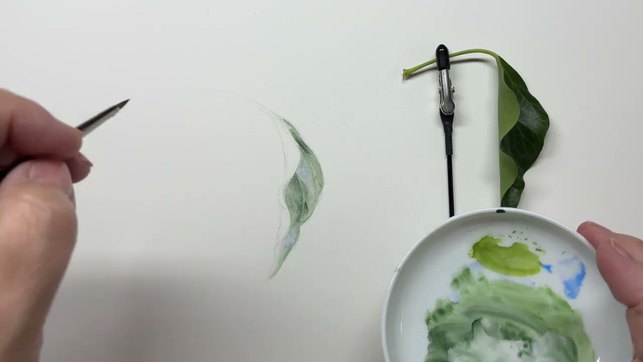 Техники акварели, темные цвета и сухая кисть