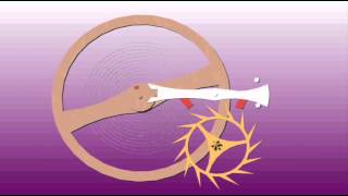 Englishlever Escapement 2Views
