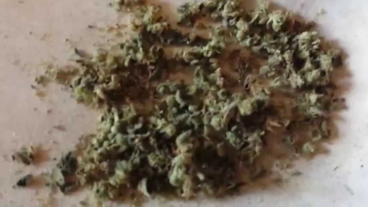 Dstern's Review - Cheeseberry