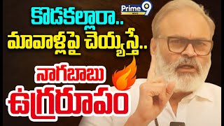 LIVE🔴: వైసీపీకి నాగబాబు మాస్ వార్నింగ్ | Nagababu Mass Warning To YCP 🔥🔥🔥 | Prime9 News