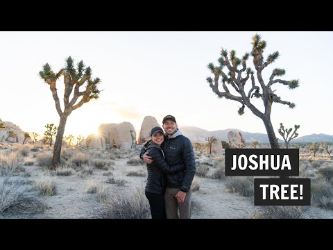 Video: Joshua Tree Nasionale Park: Die volledige gids