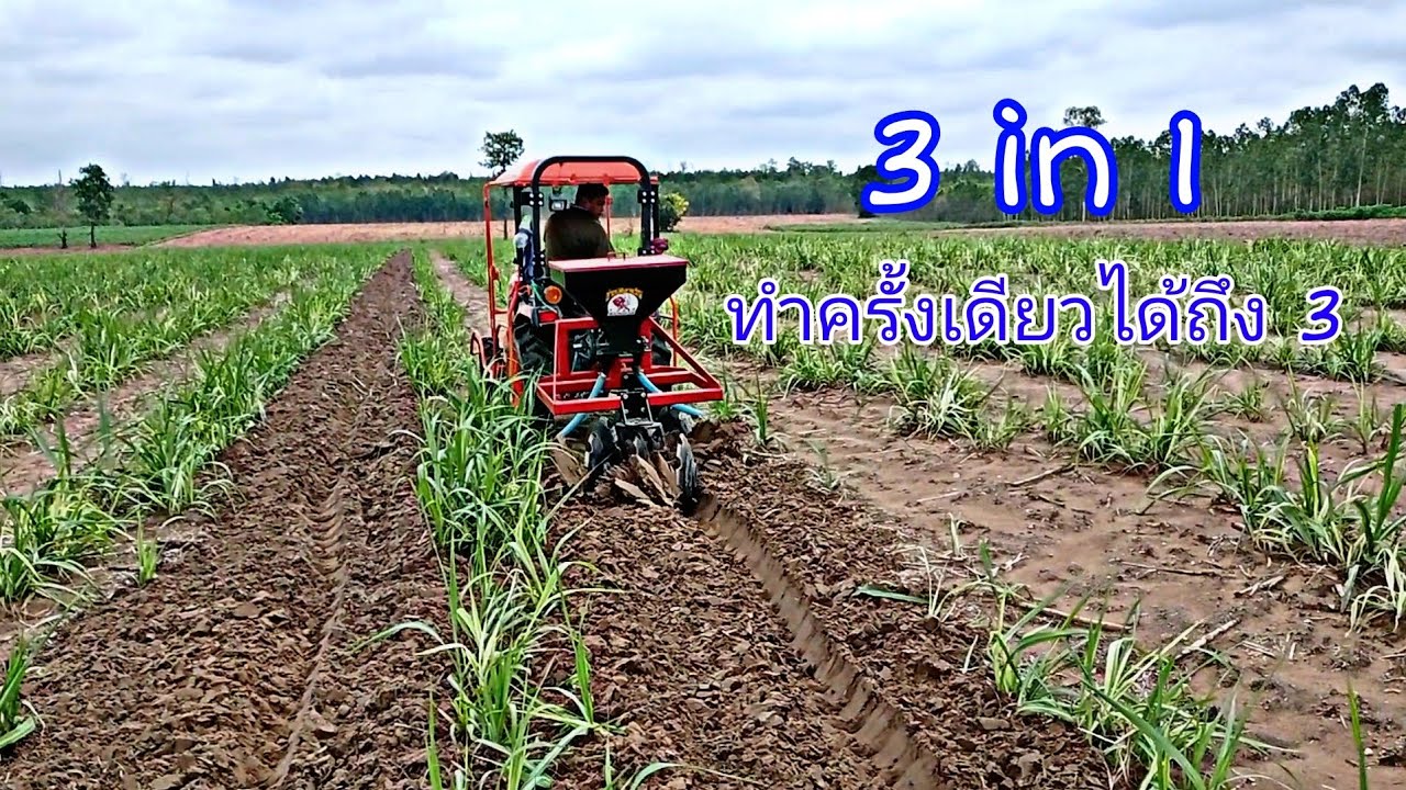 3in1 3ขั้นตอน ในครั้งเดียว |กำจัดหญ้า+ใส่ปุ๋ย+ไถกลบ ในร่องอ้อย|คูโบต้า B2740s | อึ่งน้อย 100โล